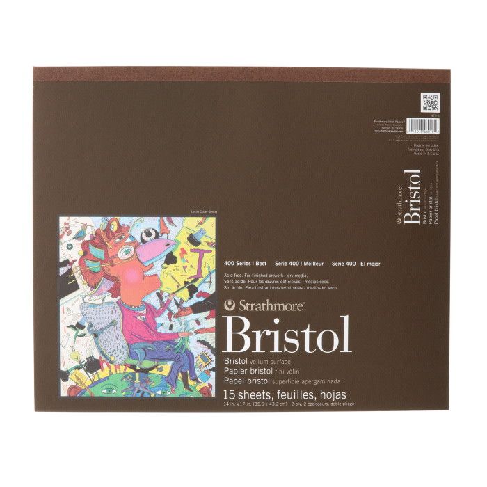 Strathmore 300 Series Bristol Paper, Vellum Finish