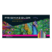 Premier Colored Pencils - Set of 150 - SA1799879